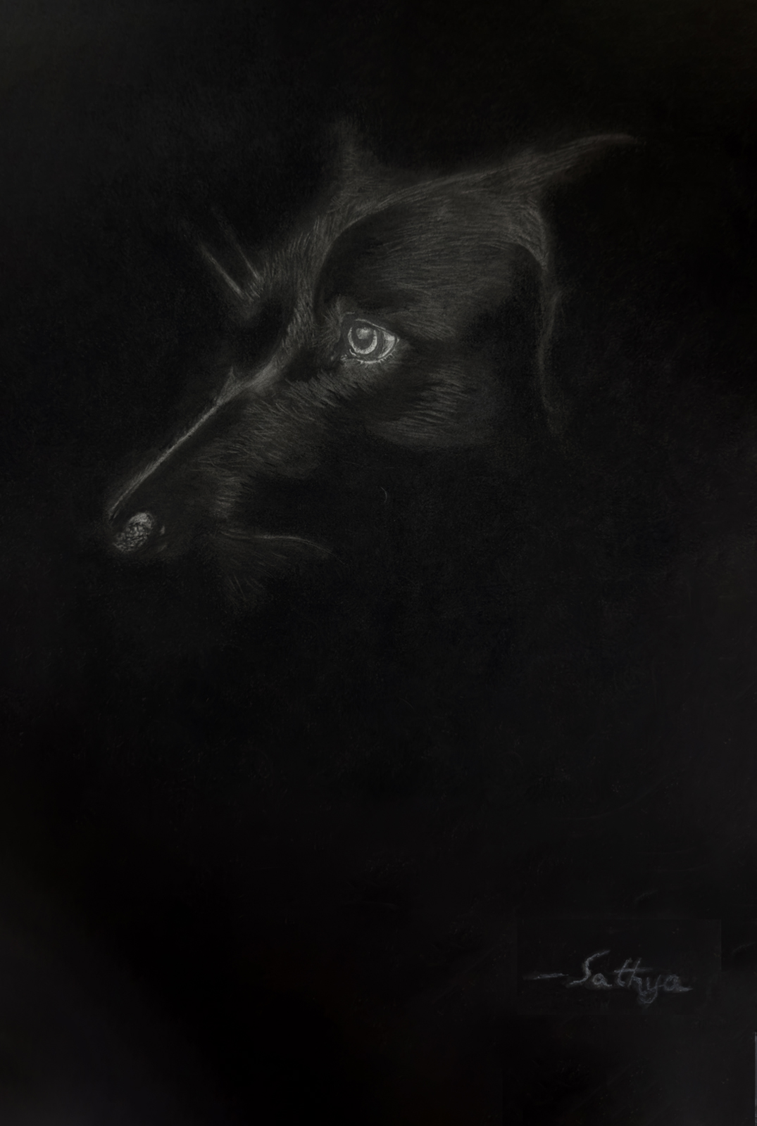 The Black Dog
