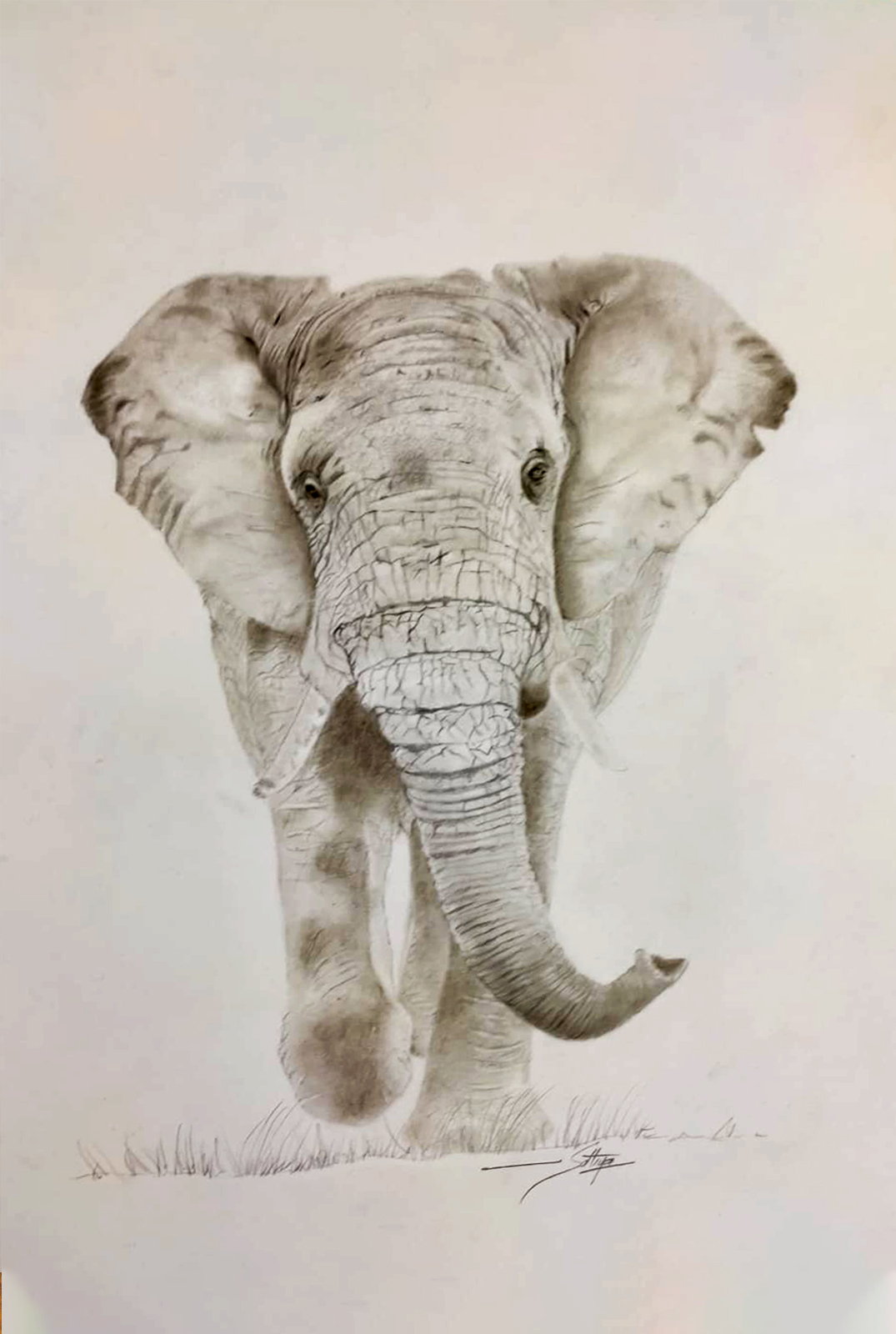 The Elephant