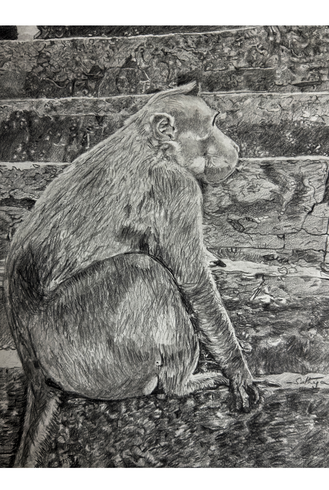 Monkey on Stairs